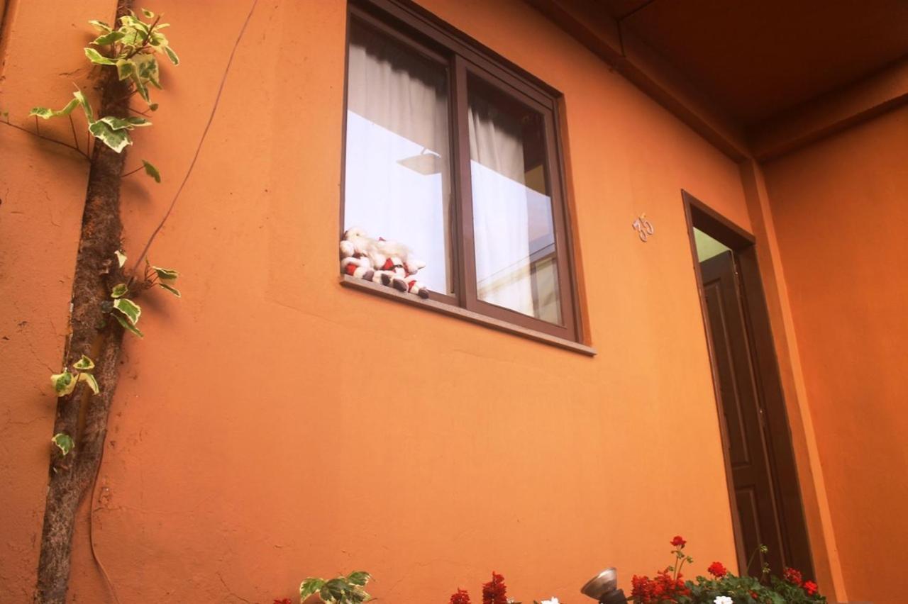 Residencial Dom Celeste Canela Værelse billede